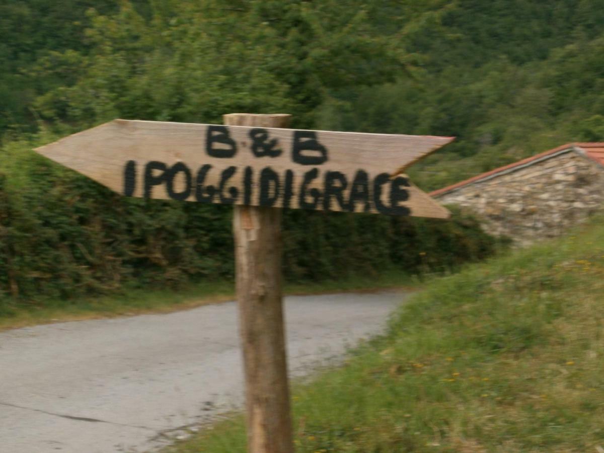 Bed and Breakfast I Poggi Di Grace à Fivizzano Extérieur photo